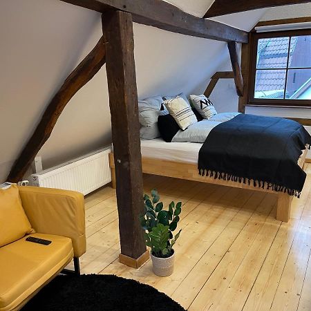 Apartmán Hideaway Im Odenwald Nahe Heidelberg Eberbach  Exteriér fotografie