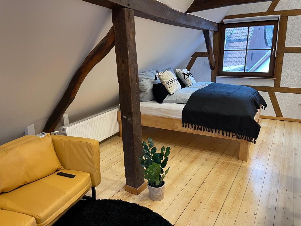 Apartmán Hideaway Im Odenwald Nahe Heidelberg Eberbach  Exteriér fotografie